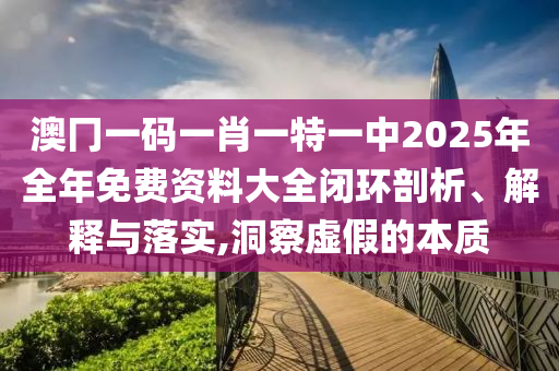 澳冂一码一肖一特一中2025年全年免费资料大全闭环剖析、解释与落实,洞察虚假的本质