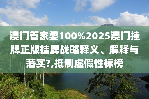 技术转让 第17页