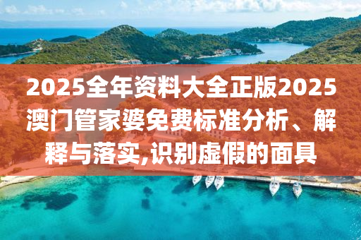 2025全年资料大全正版2025澳门管家婆免费标准分析、解释与落实,识别虚假的面具