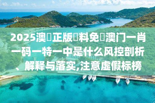 2025澳門正版資料免費澳门一肖一码一特一中是什么风控剖析、解释与落实,注意虚假标榜