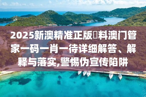 2025新澳精准正版資料澳门管家一码一肖一待详细解答、解释与落实,警惕伪宣传陷阱