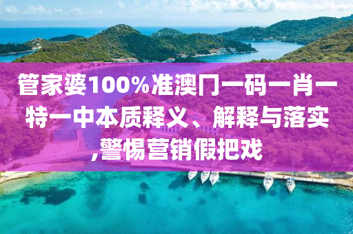 管家婆100%准澳冂一码一肖一特一中本质释义、解释与落实,警惕营销假把戏